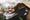 Fatboi Sharif and Driveby on the Music They Want to Soundtrack Their Funerals